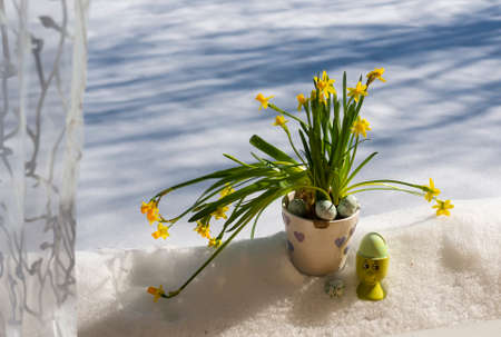 easter lilly flowers outside in a snow weatherの写真素材