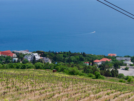 Sunny Aj-Petri Mountain top view , Crimea,の写真素材