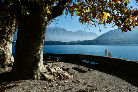 Epic CoEpic Como lake view trees and fog in Novemberの写真素材
