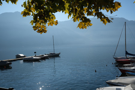 Epic lake view trees and fogの写真素材