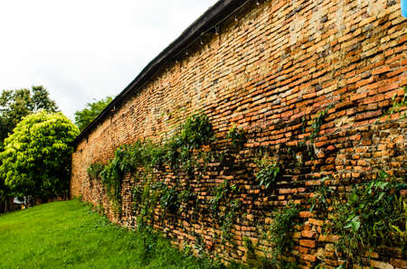 Exterior wall of thai templeの写真素材
