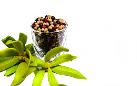 Abstract view of Ylang Ylang and Peppercorns 