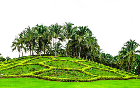 Landscaped gardenの写真素材