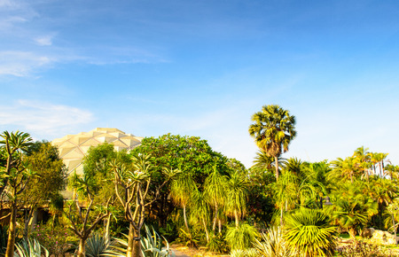 Arid desert garden against a sky backdropの写真素材