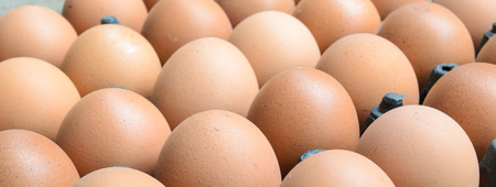Close up of hen's eggs in a tray