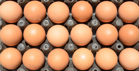 Close up of hen's eggs in a tray