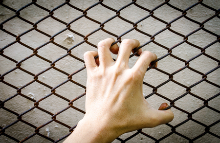Hand grasping  at a chain link fenceの写真素材