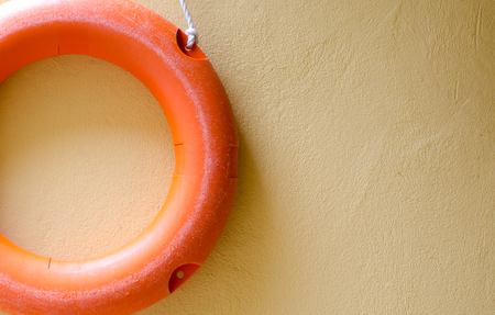Lifebelt and plant at side of swimming pool