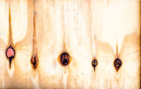 Joined boards showing grain, texture and knotsの写真素材