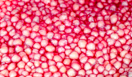Closed up of Thai traditional dessert "Red Ruby" or known as "Tub Tim Krob"の写真素材