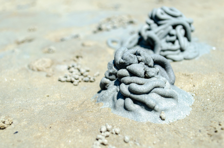Amazing lugworm cast in sand at beach Thailandの写真素材