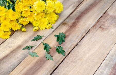 Bunch of flowering yellow chrysanthemum on wooden backgroundの写真素材