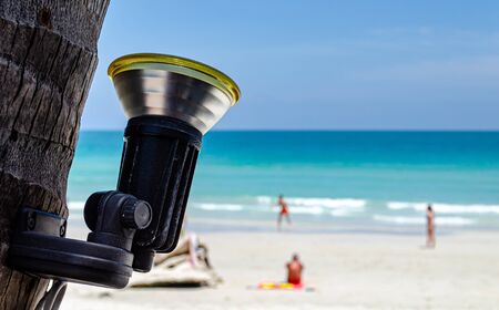 Single electric spotlight focused on coconut treeの写真素材