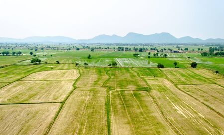 Bird's eye view of paddy field ready for new corp