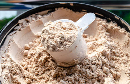 Whey protein in bowl with measuring scoopの写真素材