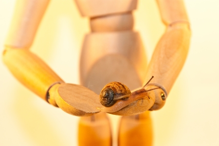 Man s Best Friend  の写真素材