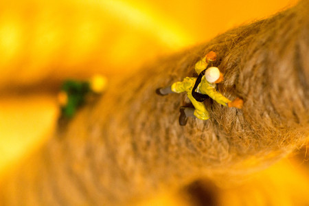 Rope Climbersの写真素材