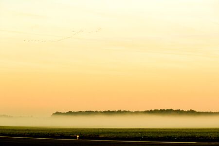 Airport Low Lying Fogの写真素材