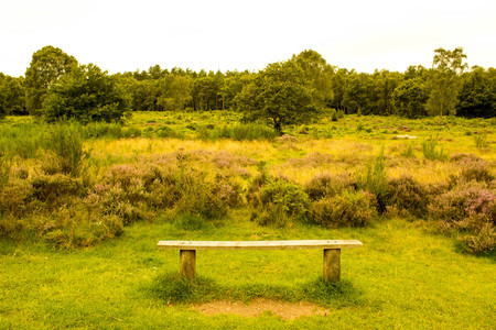 A park bench sits in amongst a beautiful landscape, within the Peak District.の写真素材