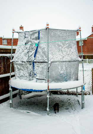 Heavy snowfall makes everything look white and fluffy.