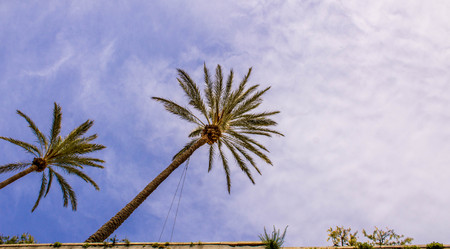 A view of the beautiful city of Taorimina city, in Sicily, Italy.の写真素材