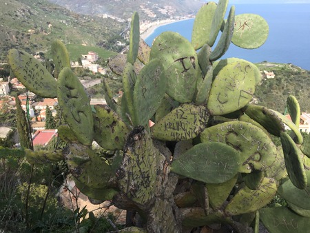 A view of the beautiful city of Taorimina city, in Sicily, Italy.の写真素材
