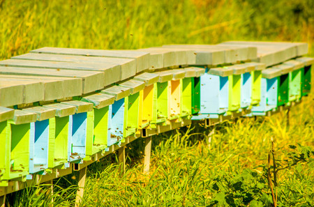 A collection of colourful bee hives, active with bees collecting honey, in the outbacks of Sicily, Italy.の写真素材