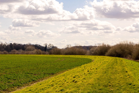 Open land in the English countryside for all to enjoy.