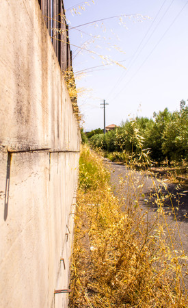 A look along a concrete wall, with nail sticking out of it. Opposite side of the road has trees.の写真素材