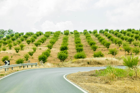 A view along a typical Italian road, in Sicily.の写真素材
