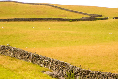 A beautiful view across a field in the Scottish countryside.の写真素材
