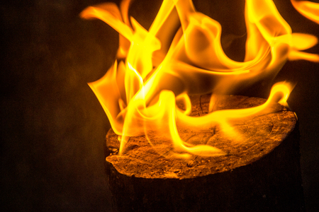 A single log with flames on top of it.の写真素材