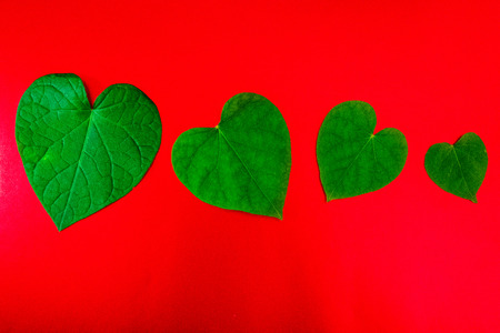 A leaf shaped like a heart.の写真素材