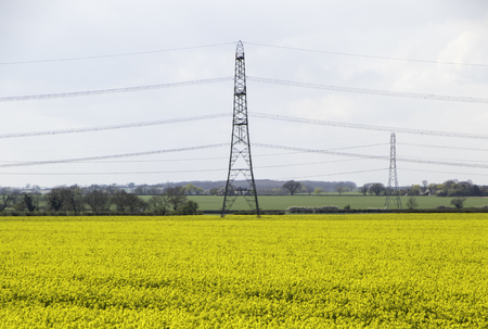 A view of the beautiful summer fields of Lincolnshire, United Kingdom.の写真素材