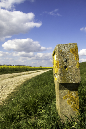 A view of the beautiful summer fields of Lincolnshire, United Kingdom.の写真素材