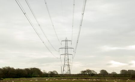 A row of electricity pylons stretch across the countryside, in the United Kingdom.の写真素材
