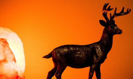 A beautiful Stag stands against a warm sunrise / sunset.の写真素材