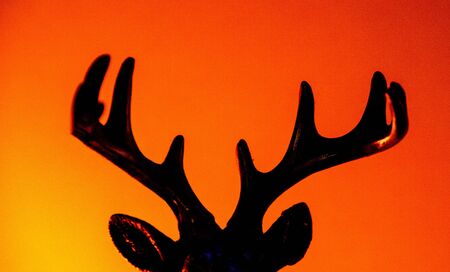 A beautiful Stag stands against a warm sunrise / sunset.