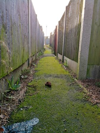 A narrow alleyway that has been neglected and a dog owner has left their dog mess in the middle of the path.の写真素材