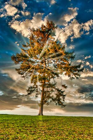 The sun sets against a beautiful landscape. The location in Lincolnshire, England, UK.の写真素材