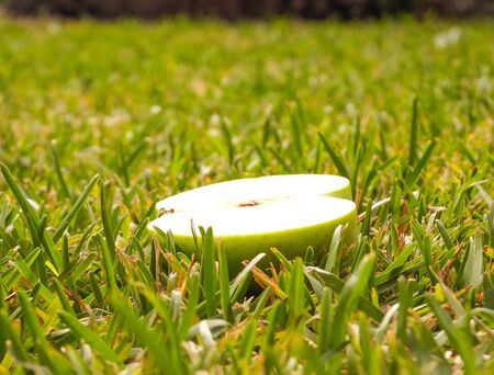Half of a green juicy apple sits in the grass, on a lawn.の写真素材