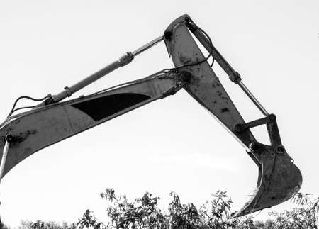 A large digger machine being used to scoop up old trees and bushes from an old crop in Sicily, Italy, to burn the old wood and then replant new crops.の写真素材
