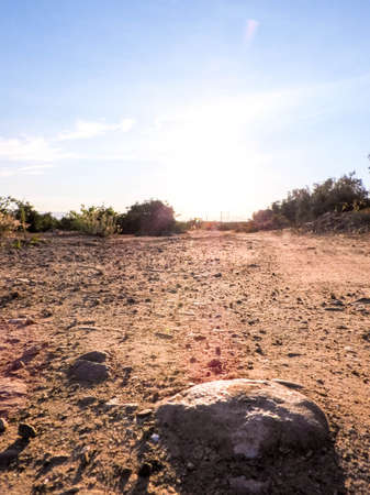 A view along a long Italian countryside road, during the summertime heat. Taken in Sicily, Italy....