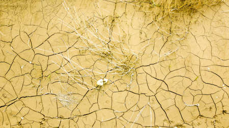 A very dry piece of land suffering from drought. The view taken from above the dry land.の写真素材