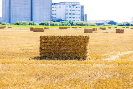 A large hay bail that has been harvested in a farmer's field, in the United Kingdom. The hay used to...