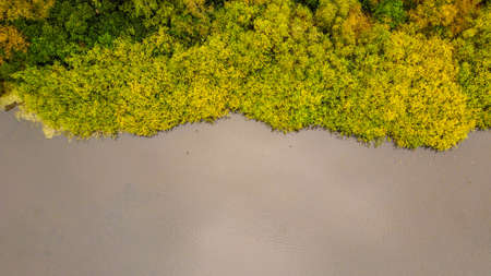 A beautiful view of a dense forest in the heart of England, UK, taken from high above.の写真素材