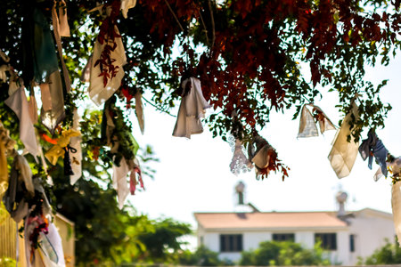The Terebinth Tree - Saint Solomoni (Cyprus) has many pieces of cloth attached and hanging from it left behind by tourists and locals from all around.の写真素材