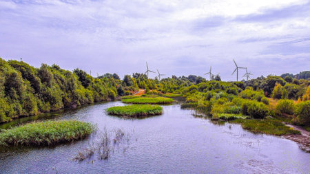 A beautiful open lake in the North East of England, United Kingdom. Open for people to visit and wildlife to flourish in and around it.の写真素材