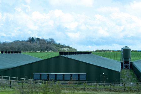 A steel structured building which houses animals on a farm. Ranging from chickens to cows.