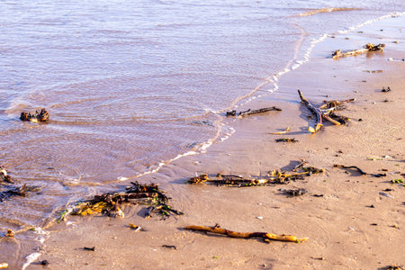 One of the thousands of miles of beaches that surround the United Kingdom, bringing joy and beauty to all those who wish to enjoy it.の写真素材